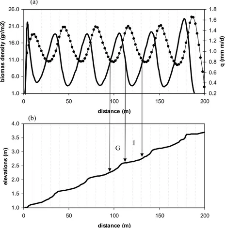 Figure 4: Longitudinal profile of a banded vegetation pattern, the x axis shows distance from  the bottom of the hillslope, (a) simulated distribution of biomass density (solid line) and  runoff (dots), (b) simulated elevations after 500 years