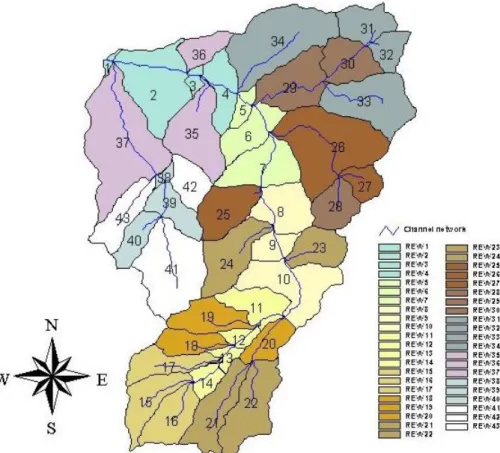 Fig. 5. Schematic representation of Zwalm catchment discretized into 43 REWs.