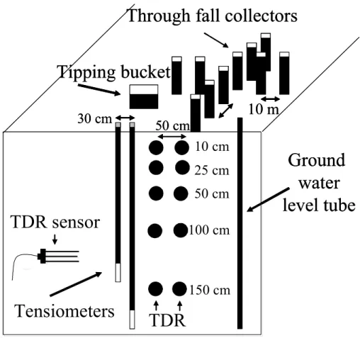 Fig. 2. Schematic view of the experimental setup of TDR sensors, tensiometers, throughfall  collectors, tipping bucket for total rainfall, and water table observation tube