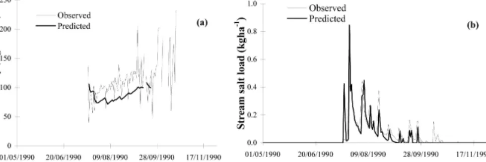 Fig. 7. Actual and predicted stream (a) salinity and (b) salt load for 1990 – Ernies catchment