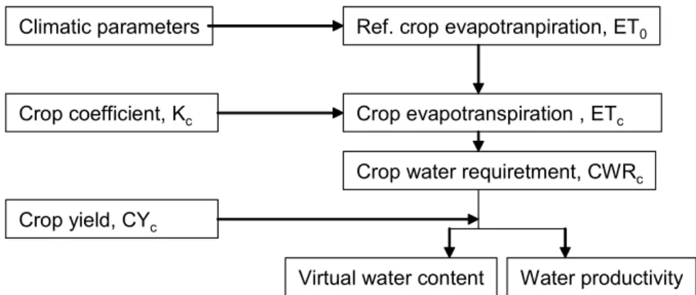 Fig. 1. Steps of the estimation of virtual water contents.