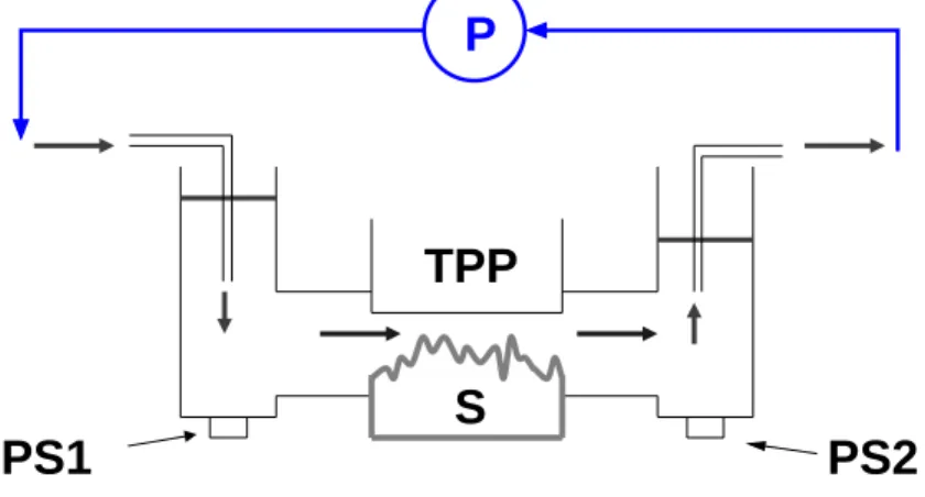 Fig. 10. Sketch of the experimental setup: fracture sample (S), transparent Plexiglas plate (TPP), peristaltic pump (P), pressure sensors (PS1, PS2).