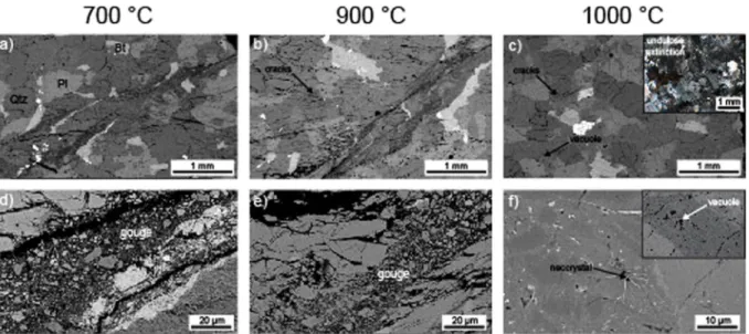 Figure 4.  Backscattered scanning electron photomicrographs (SEM) of the samples of Westerly granite  (thermally-shocked to 450 °C) deformed at an effective confining pressure of 100 MPa and an axial strain rate of  10 −5  s −1  (the deformation experiment