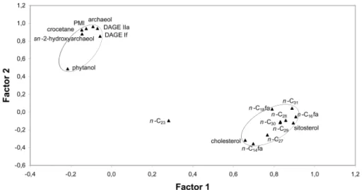 Fig. 2. Two-dimensional plot of compound factor loadings, showing two distinct groups of lipid biomarkers (marked by gray ellipses) (n-C X = saturated n-alkane containing X carbon atoms, n-C X fa = saturated n-fatty acid containing X carbon atoms).