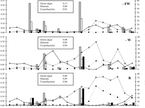 Fig. 4. Results of 13 C labelling of the different groups of phytoplankton, expressed as growth rates (µ C (d −1 )) and abundances of green algae, diatoms and cyanobacteria (Chla in µg L −1 ).