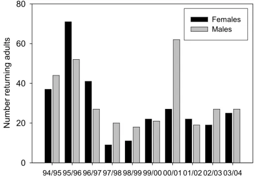 Fig. 3. Number of returning adults (autumn) used within the study.
