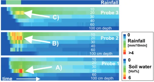 Fig. 3. Rainfall simulation with dye tracer at the locations of the soil moisture probes: amount of dye applied: 25 mm, intensity of application: 8.3 mm/h