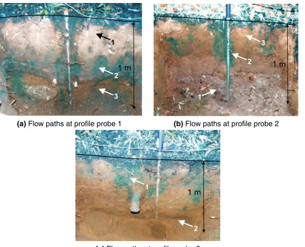 Fig. 4. Flow path visualization at the locations of the three continuously logging profile probes.