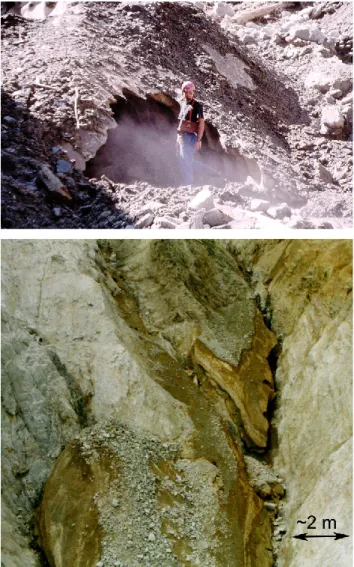 Fig. 8. During the particularly hot summer 2003 (e.g. Sch¨ar et al., 2004), a gully in the Baltschieder valley after a debris flow  trig-gered by rainfall: note the bed covered by snow avalanche deposit (courtesy of M
