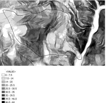 Fig. 5. Piedipaterno village, built on the Lagarelle creek alluvial fan.