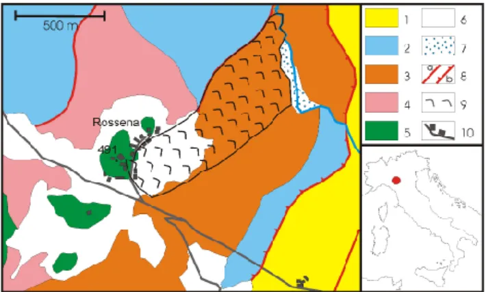 Fig. 1. Panoramic view of the higher part of the Rossena Landslide.