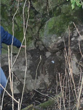 Fig. 6. Unstable basaltic block at the base of the cliff.
