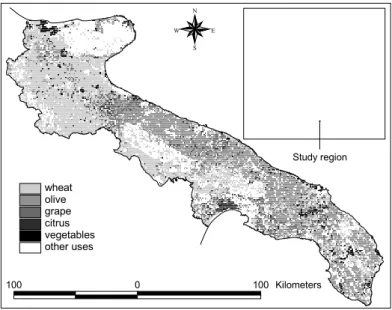 Fig. 1. Map of study area with spatial distribution of crops under consideration. The notation