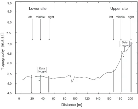 Fig. 1. Lower and the upper site along the topographical transect in the Bourgoyen- Bourgoyen-Ossemeersen