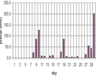 Fig. 4. September 2005 daily precipitation at the Ban Pahng Ma Oh Watershed Research Station, Mae Na Subdistrict, Chiang Dao District