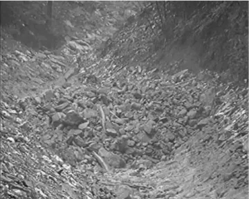 Fig. 3. Image taken from a film of the second surge of a debris flow event (7 June 2002, 11:00 a.m.) in Kose˘c village