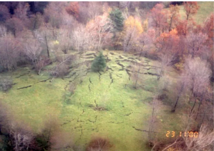 Fig. 4. A far and a close view of the Slano Blato landslide.