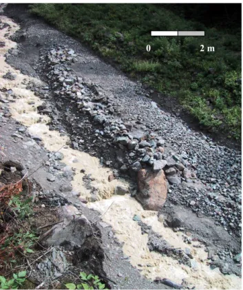 Fig. 6. Deposits left in the middle basin by the 4 August 2002 event in the Moscardo Torrent.
