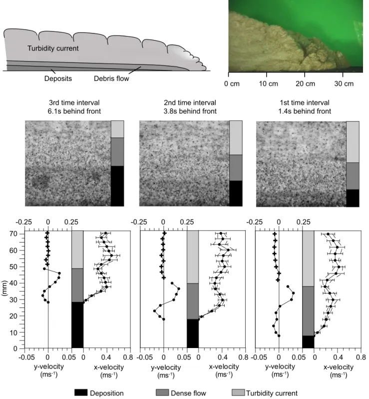 Fig. 4. Side-views (top) and profiles of vertical and horizontal velocity (bottom) of a sandy debris flow in the laboratory (35 wt