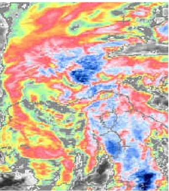 Figure 2: IR satellite image (16/11/2992, 3:30 GMT). Areas with low values of top IR  radiance temperature (blue color) are characterized by highest probability of heavy convective 