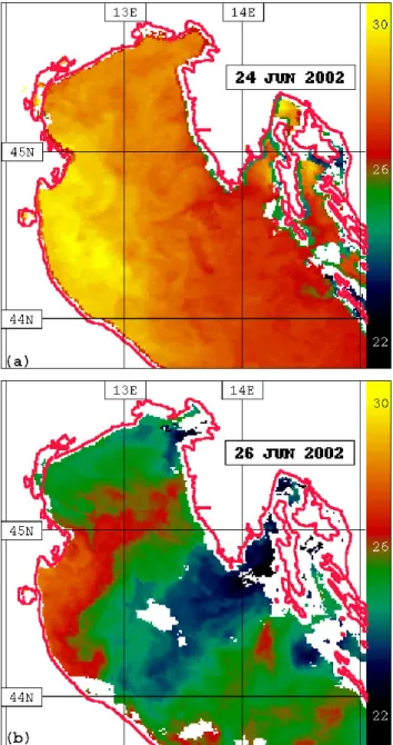 Fig. 8. AVHRR channel 2 view of cloud cover in the area of inter- inter-est: (a) at about 13:00 UTC 25 June 2002; (b) at about 13:00 UTC 26 June 2002