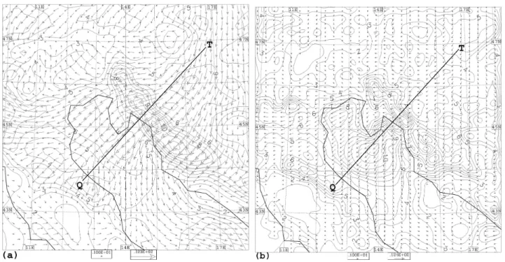 Fig. 4. Speed (m/s) and direction of the 10 m wind at 10:00 UTC 25 June 2002: (a) calculated by the coarse grid run (run A), the area shown is a portion of the integration domain; (b) calculated by the fine grid run (run B).