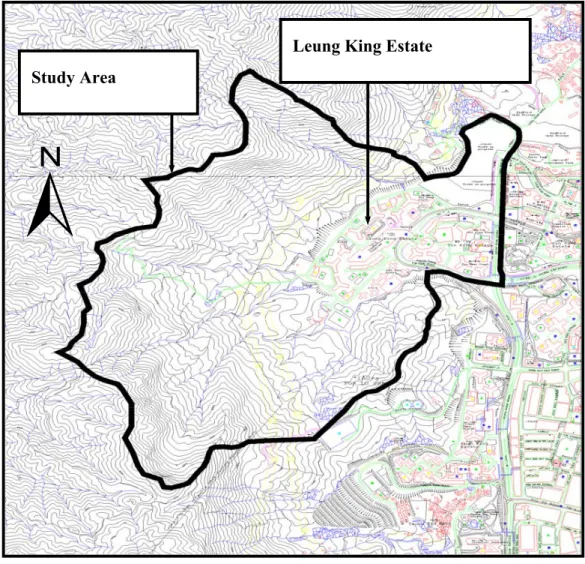 Figure 3. The study area for debris flow hazard assessment of Leung King Estate. 