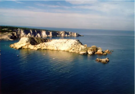 Fig. 5. In foreground Cretaccio Islet. At the bottom right, note the “la Vecchia” stack almost  completely eroded