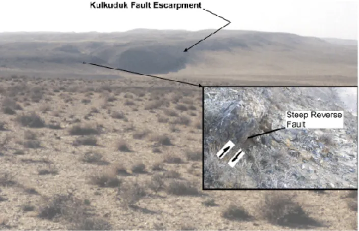 Fig. 7. The Kulkuduk fault is a reverse Quaternary fault in the NE part of the Uzboy area.