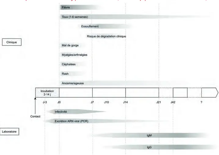 FIGURE 1. Description de l’évolution chronologique de l’infection COVID-19 (la durée des symptômes varie en fonction de la sévérité) 