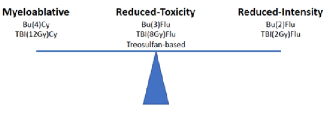 Figure 1. Concept de conditionnement à toxicité réduite