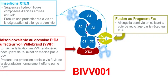 Figure 5. Structure du BIV001 - un facteur VIII modifié par trois technologies (FVIII-Fc/ D’D3 VWF/XTEN linkers) procurant un allongement significatif de la  demi-vie (plus de 40 heures)
