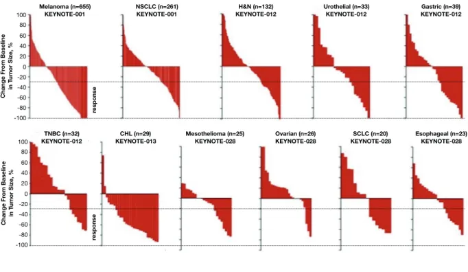 FIGURE 3.   Taux de réponse observé avec le pembrolizumab