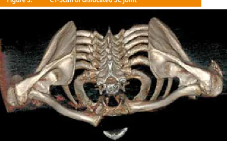 Figure 1.   Clinical aspect at first exam