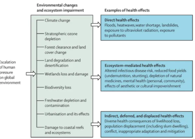 Figure 3.   Impact des changements climatiques sur la santé (12)