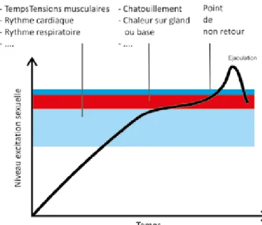 Figure 4 .  Sensations pré-éjaculatoires