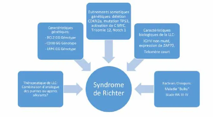 Figure 1.   Facteurs de risque de développement d’un syndrome de Richter