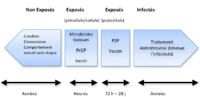 Figure 1.  opportunité de prévention contre le VIH (cohen et al. réf 3, adapté)