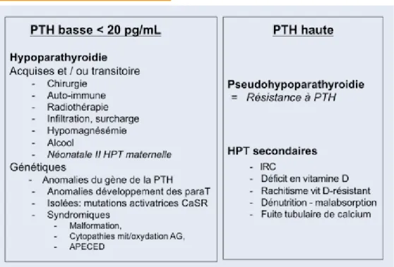 tableau 3.  Hypoparathyroïdies génétiquestableau 2. Causes d’hypocalcémie