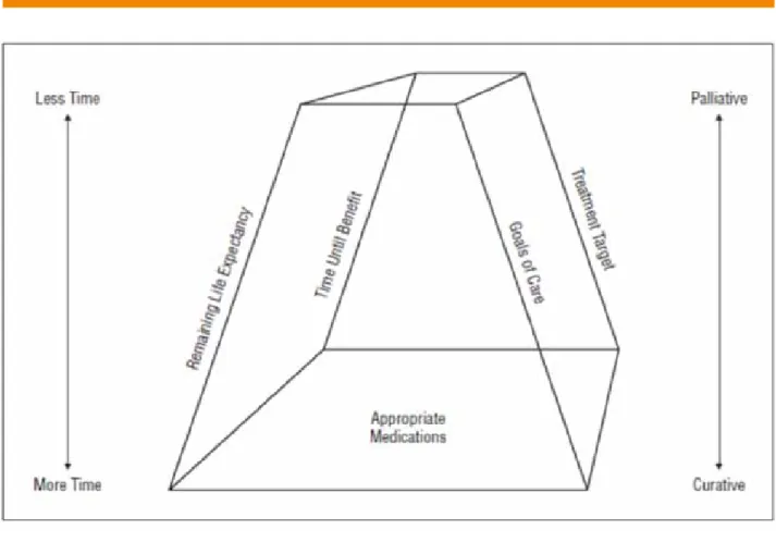 Figure 2 :  Modèle de la pyramide tronquée, schématisant les axes généraux et le niveau du patient à considérer pour  viser une prescription médicamenteuse appropriée chez les patients âgés (d’après la publication de Holmes  HM et al