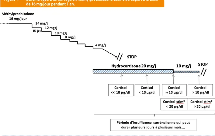 Figure  1  Schéma-type d’un sevrage en méthylprednisolone donné au départ à la dose  de 16 mg/jour pendant 1 an.