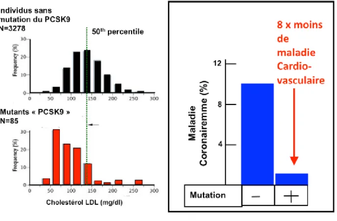 Figure 1.  Étude  de l’équipe de l’University of Texas Southwestern Medical Center (dirigée par Helen Hobbs et Jonathan  Cohen) démontrant l’association entre des mutations sur le PCSK9  et la réduction du LDL-C et de l’incidence de  maladie cardiovasculai