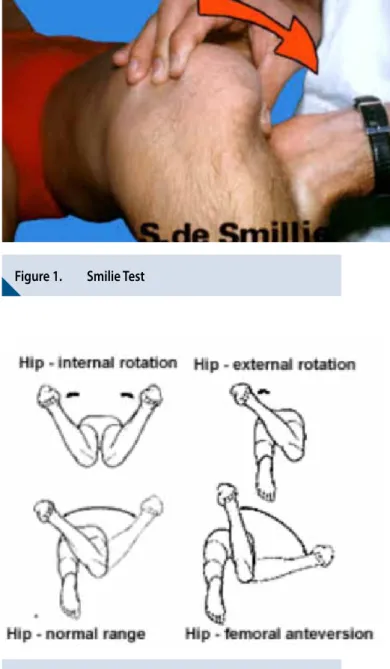 Figure 1.  Smilie Test