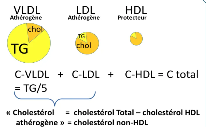 Figure 3. Notion de « cholestérol non HDL » 
