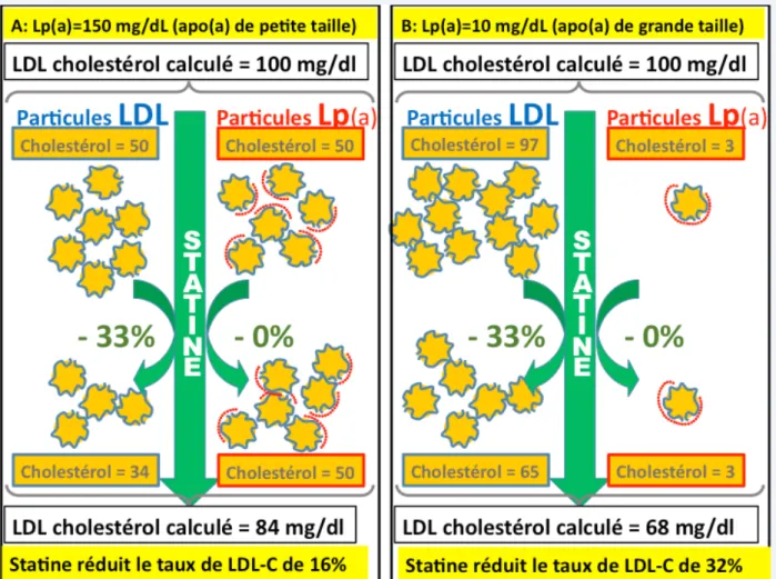 tableau 5  Conséquence du taux trés élevé de Lp(a) (464 nmol/L ou 193 mg/dL) chez notre  patient : estimation du taux de cholestérol transporté par les particules Lp(a), du   taux de « vrai » C-LDL et explication de la  pseudo-résistance