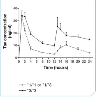 Figure 3. InfluencedupolymorphismeCYP3A5surla