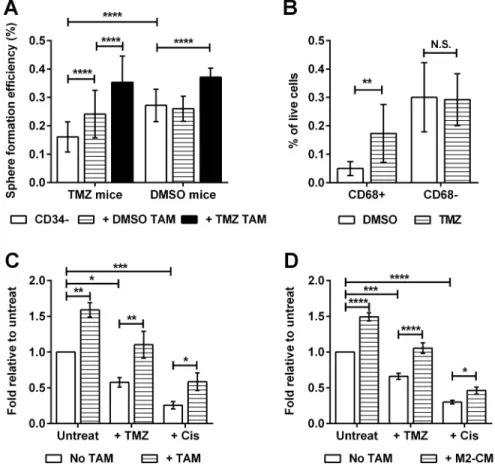 Figure 6: Chemotherapy promotes the emergence of macrophage-responsive TICs.  Data for C &amp; D are expressed as fold  change in sphere-forming efficiency relative to untreated CD34 -  TICs