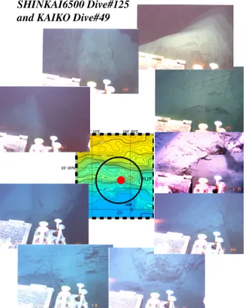 Fig. 3. Some results from SHINKAI6500 Dive#125 and KAIKO Dive#49 at the foot of the trench slope on the fore-arc side.