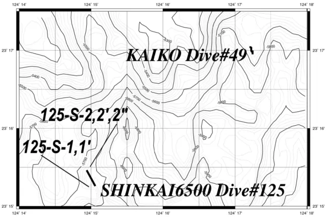 Fig. 4. Precise bottom topography and the submersible/ROV tracks in SHINKAI6500 Dive#125 and KAIKO Dive#49.