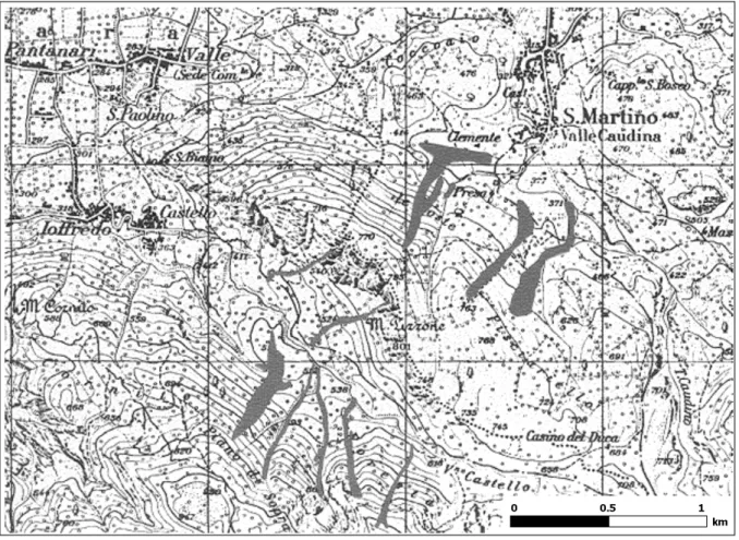 Fig. 3. Principal landslides (in grey) triggered in the Cervinara-San Martino V.C. area on 15–16 December 1999 (after Amanti et al., 1999).